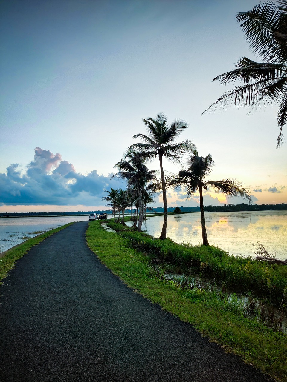 nature, road, landscape